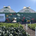 Yuksel Seeds cumple con su cita anual en Expo Agroalimentaria Guanajuato